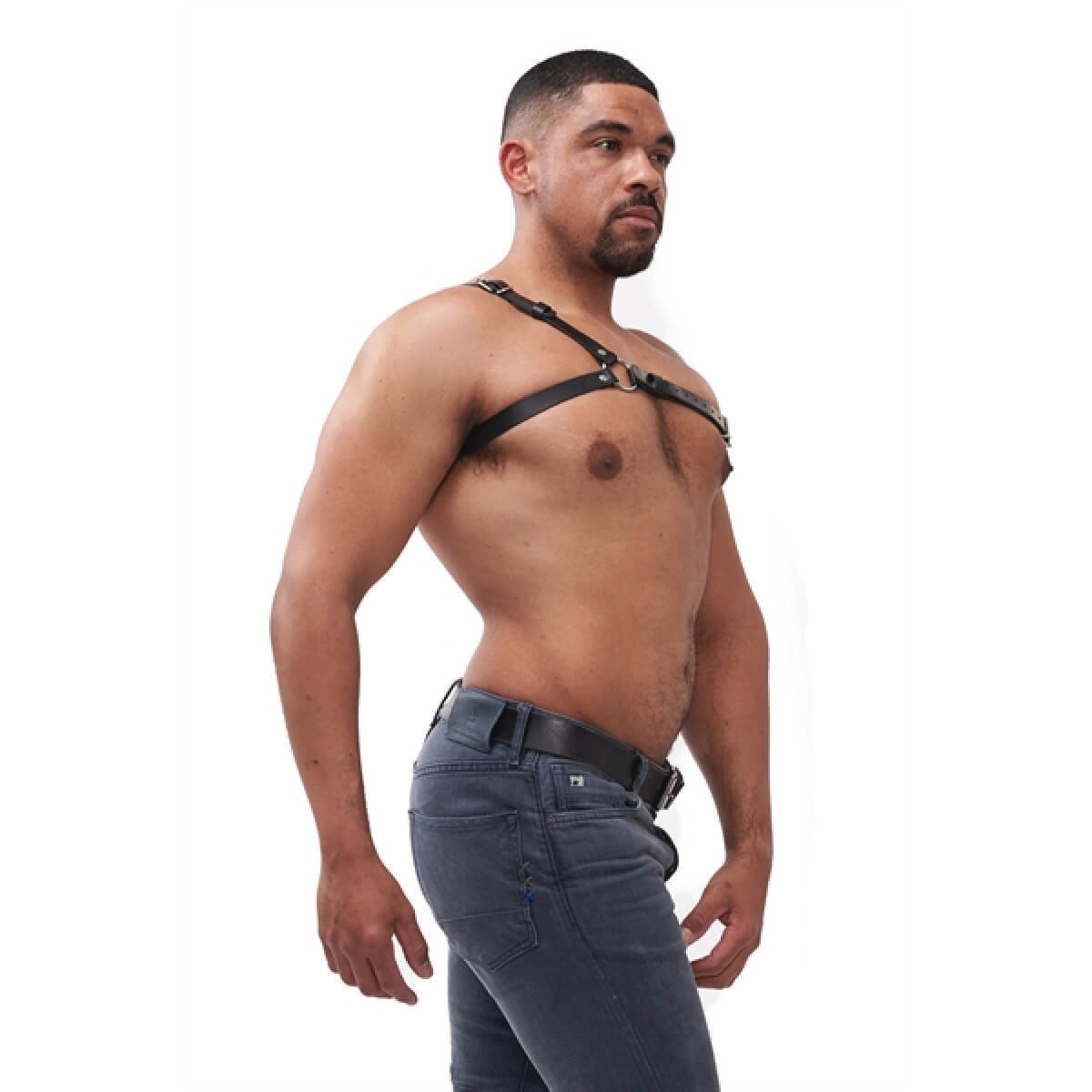 Mister B - Style Harness L / XL