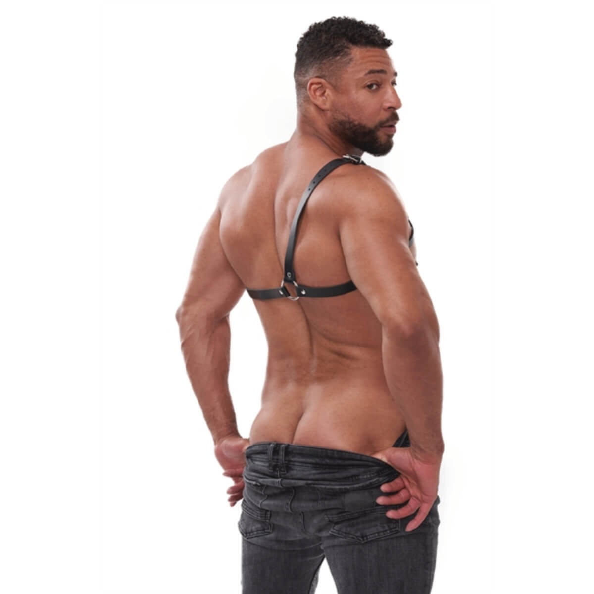 Mister B - Style Harness L / XL